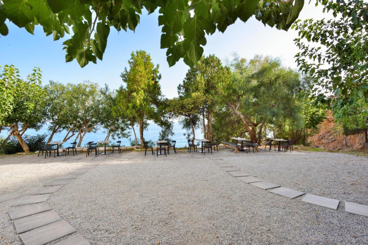 Aparthotel Ilingas Mare à Chora Sfakion Extérieur photo